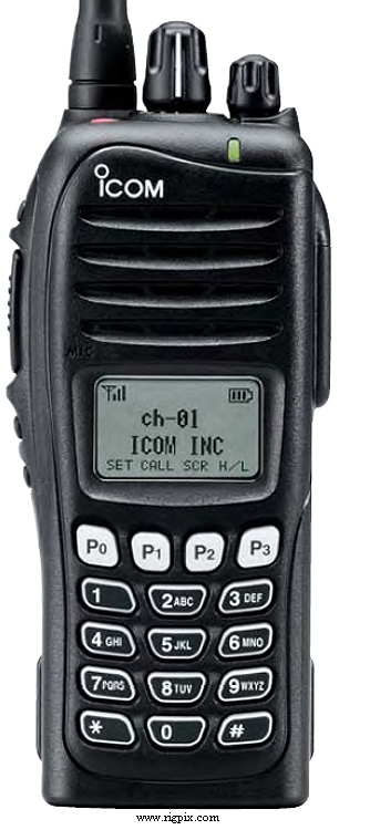 A picture of Icom IC-F3161DT
