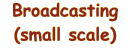 Broadcsting (Small scale) logo