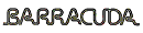 Barracuda logo