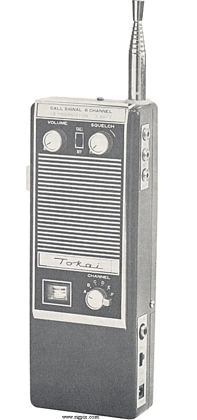 A picture of Tokai TC-306S