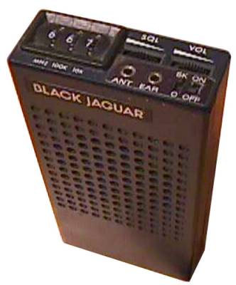 A picture of Black Jaguar